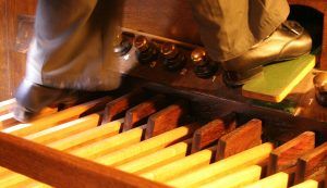 organ