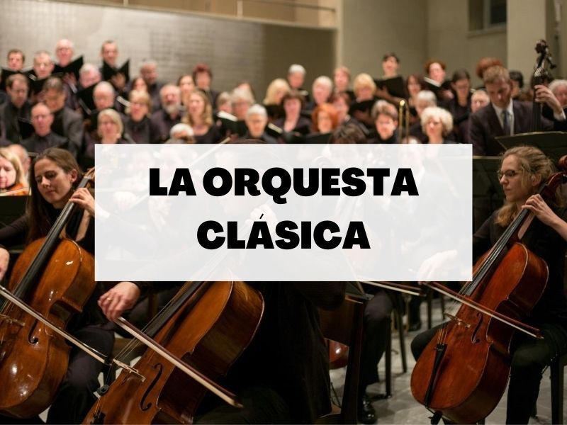 Descubre todo sobre la orquesta clásica